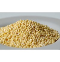 Millet - Thinai (Foxtail Millet)